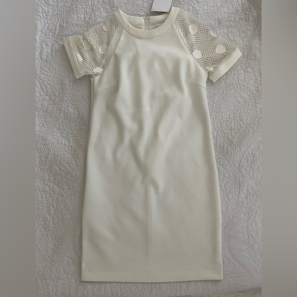 Badgley Mischka Cream Mini Dress with Lace Sleeves